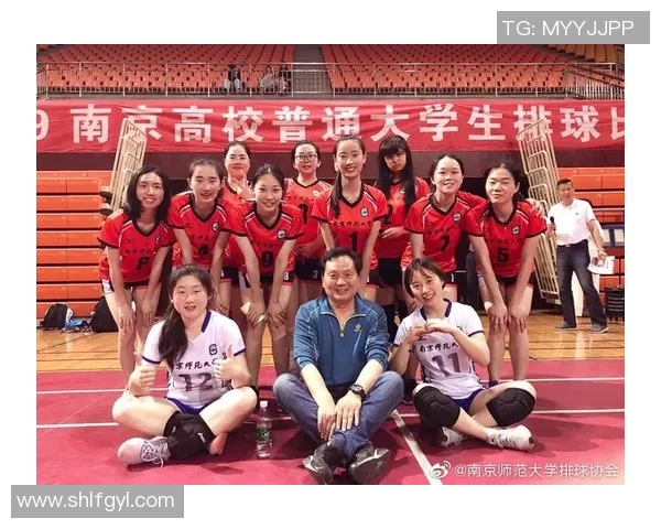 南京排球队个人能力解析与发展策略探讨