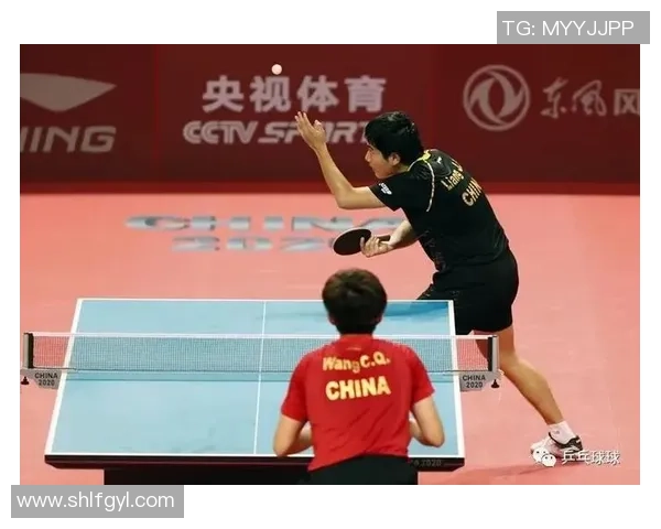 杭州乒乓球队进攻战术深度分析与技术特点探讨