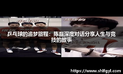 快盈viii