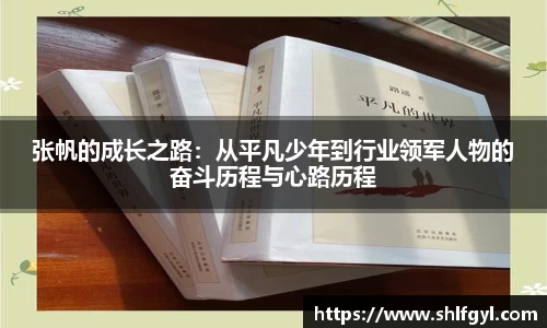 张帆的成长之路：从平凡少年到行业领军人物的奋斗历程与心路历程