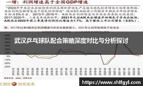 武汉乒乓球队配合策略深度对比与分析探讨