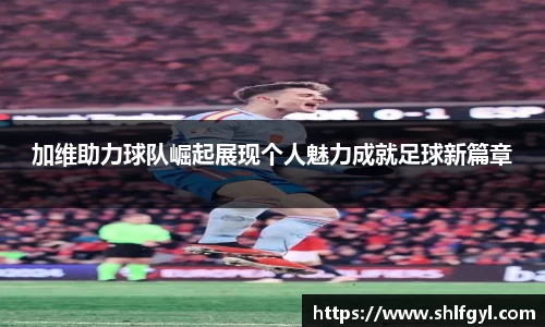 快盈VIII