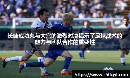 快盈viii